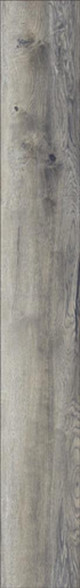 FLR00003905.jpg.jpeg FLR00003905.jpg.jpeg